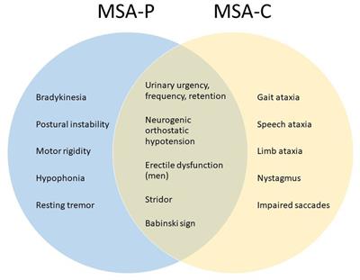 Diagnosing multiple system atrophy: current clinical guidance and emerging molecular biomarkers